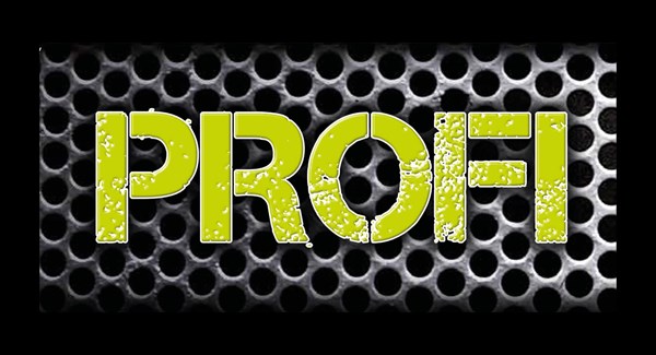 PROFI 2-2025